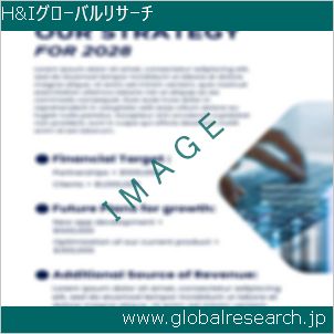 グローバルリサーチ調査レポートのイメージ